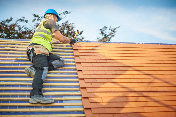 Best Asphalt Shingle Roofing  in Moa, UT